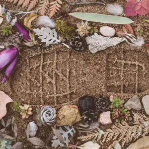 Reducing Your Carbon Footprint