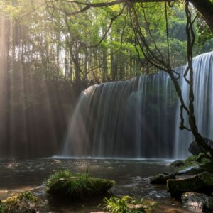 Holistic Benefits of Nature