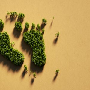Introduction to Reducing Your Carbon Footprint